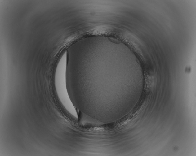 X0000097910260200803281409