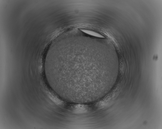 X0000097910261200803281409