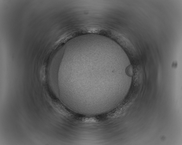 X0000097910262200803281409