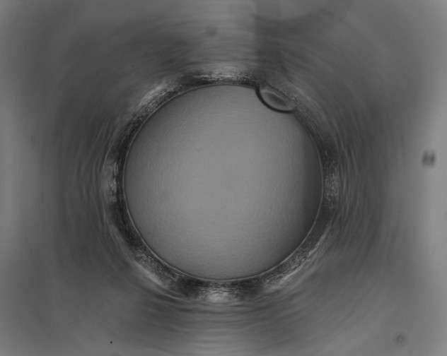 X0000097910264200803281409