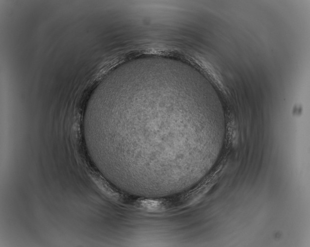 X0000097910265200803281409