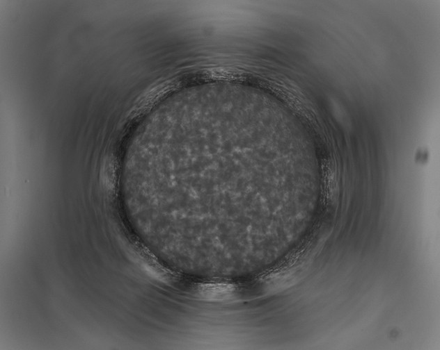 X0000097910266200803281409