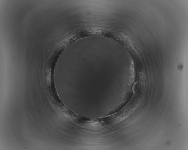 X0000097910267200803281409