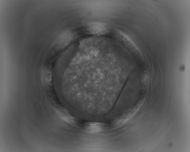 X0000097910268200803281409