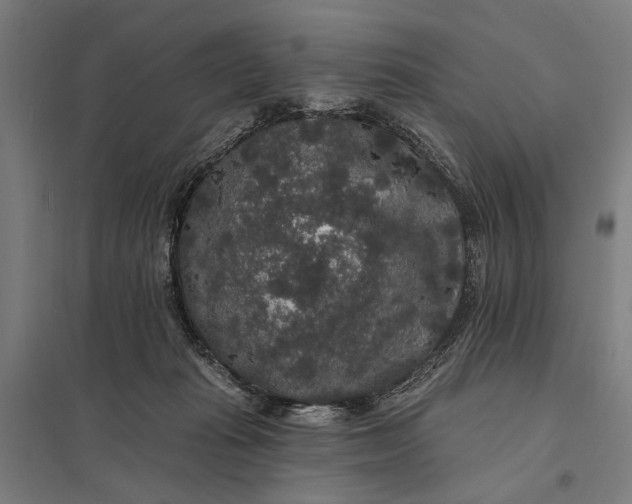 X0000097910269200803281409