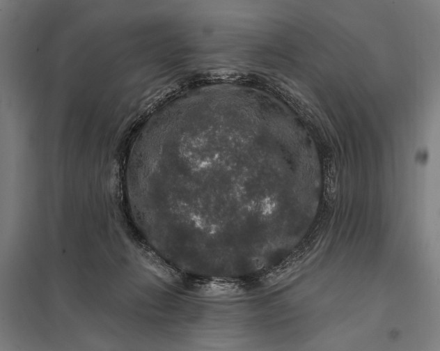 X0000097910270200803281409