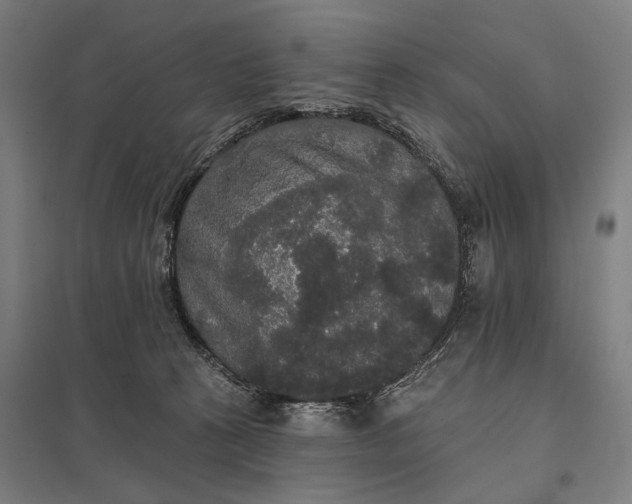 X0000097910273200803281409