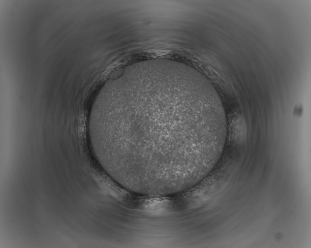 X0000097910274200803281409