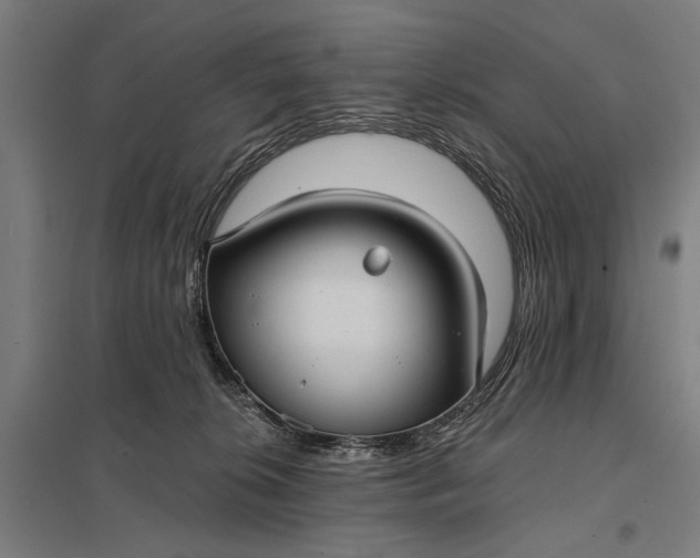 X0000097910276200803281409