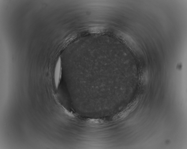 X0000097910277200803281410