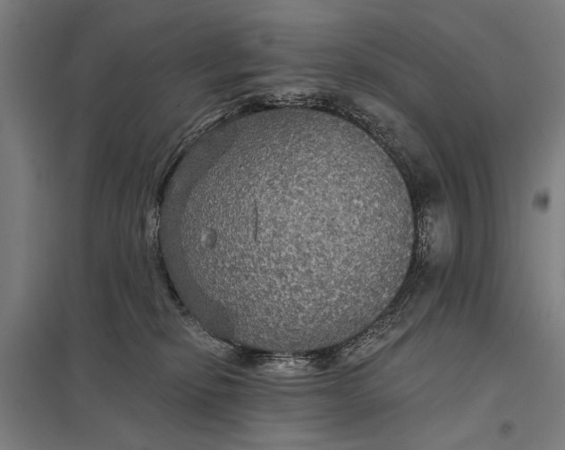 X0000097910278200803281410