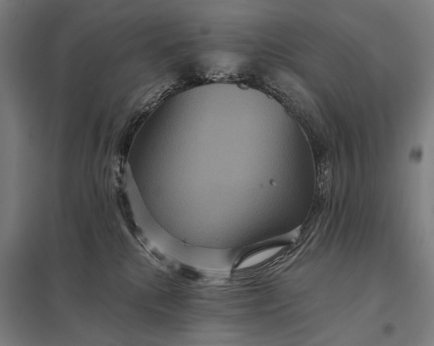 X0000097910280200803281410