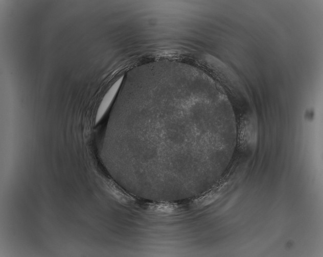 X0000097910282200803281410