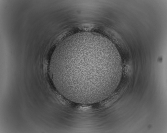 X0000097910283200803281410