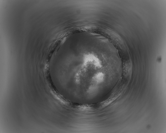 X0000097910284200803281410