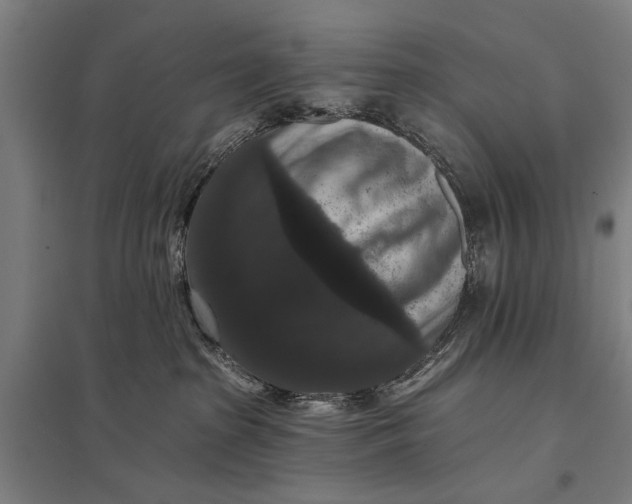 X0000097910285200803281410