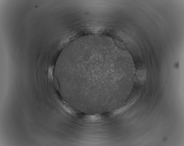 X0000097910286200803281410