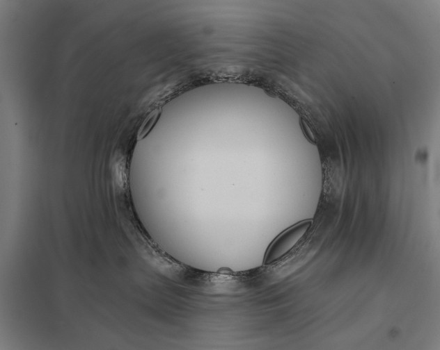 X0000097910287200803281410