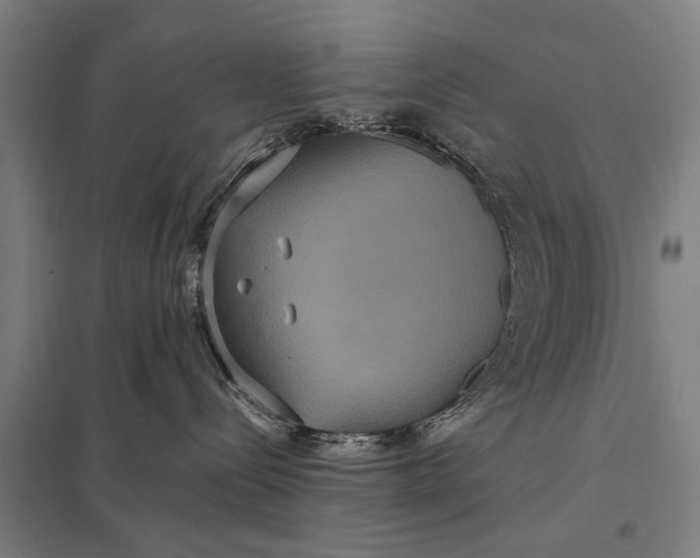 X0000097910288200803281410