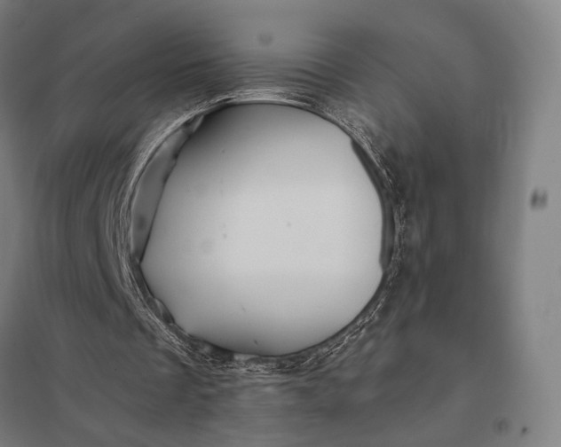 X0000097910289200803281409