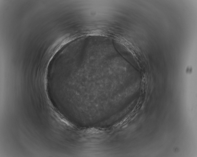 X0000097910290200803281409