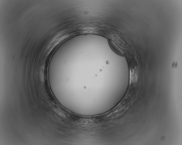 X0000097910291200803281409