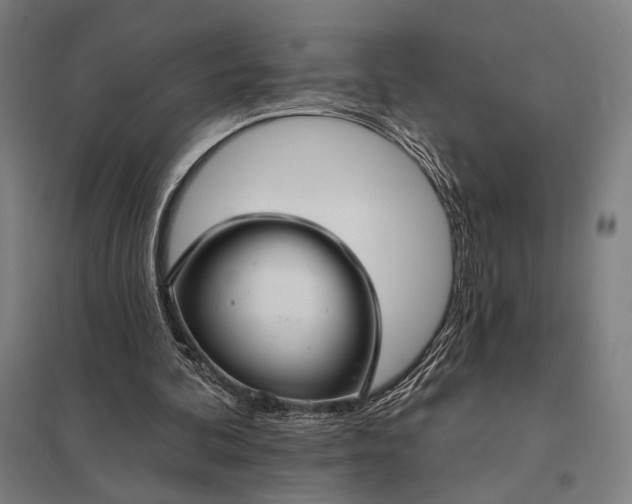 X0000097910292200803281409