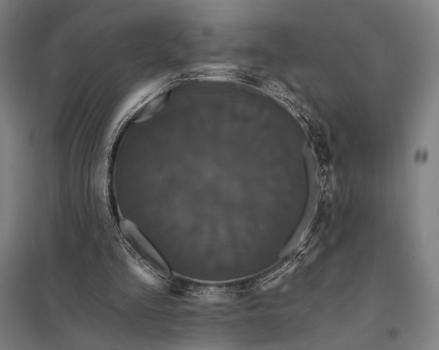 X0000097910293200803281409