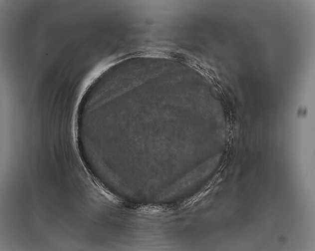 X0000097910294200803281409