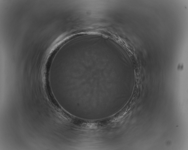 X0000097910295200803281409