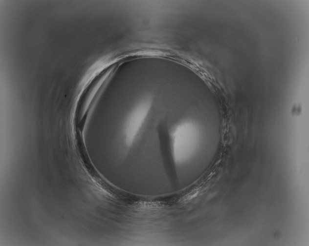 X0000097910296200803281409