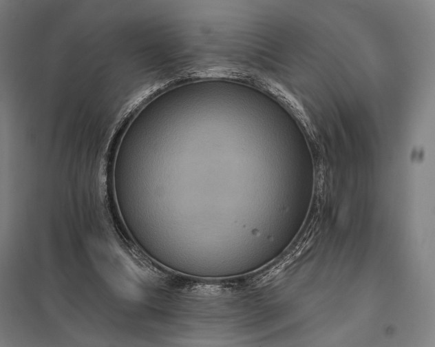 X0000097910298200803281409