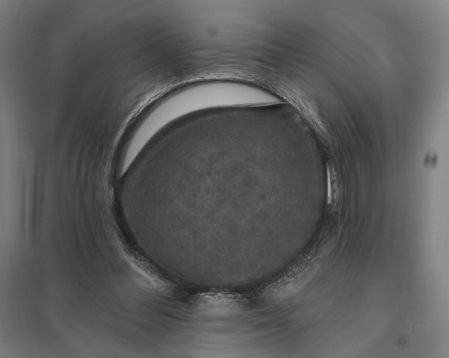 X0000097910300200803281409