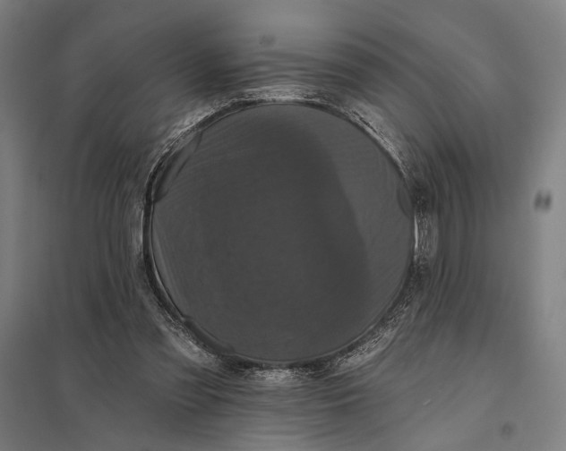 X0000097910301200803281409