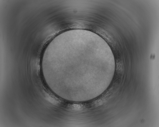 X0000097910302200803281409