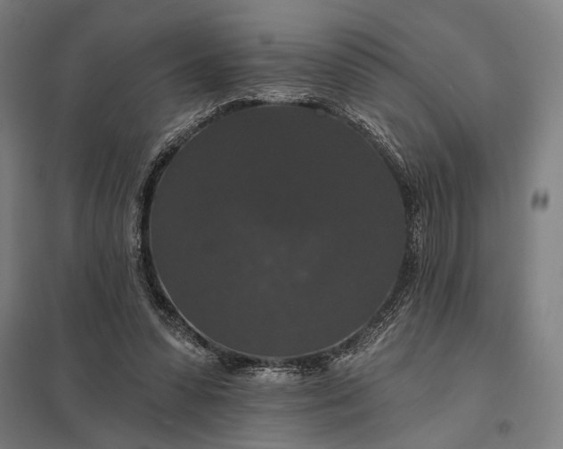 X0000097910303200803281409