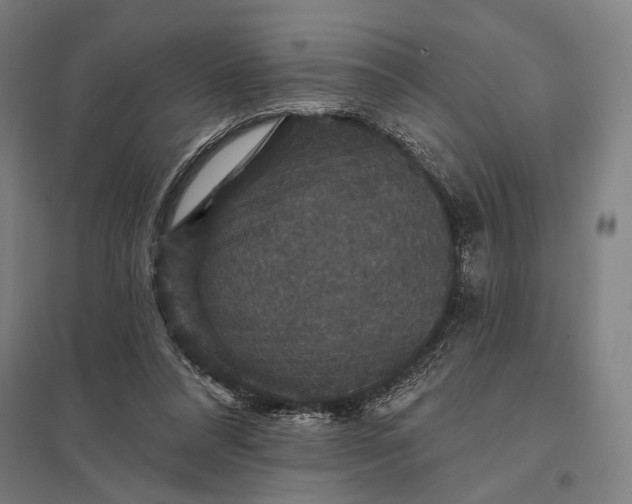 X0000097910304200803281409