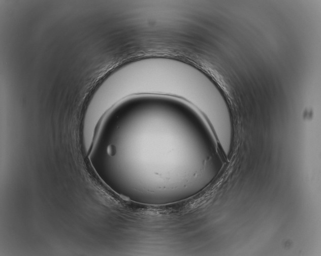 X0000097910305200803281409