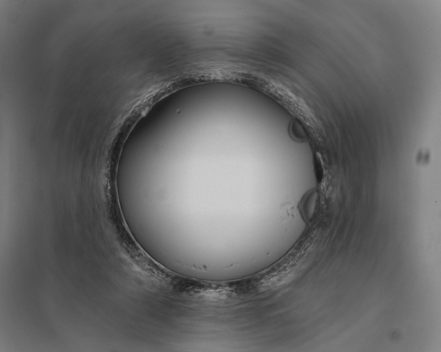 X0000097910306200803281409