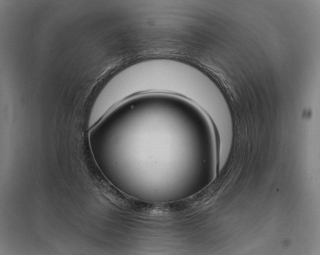 X0000097910308200803281409