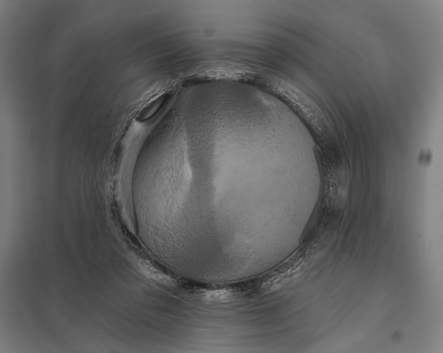 X0000097910309200803281409