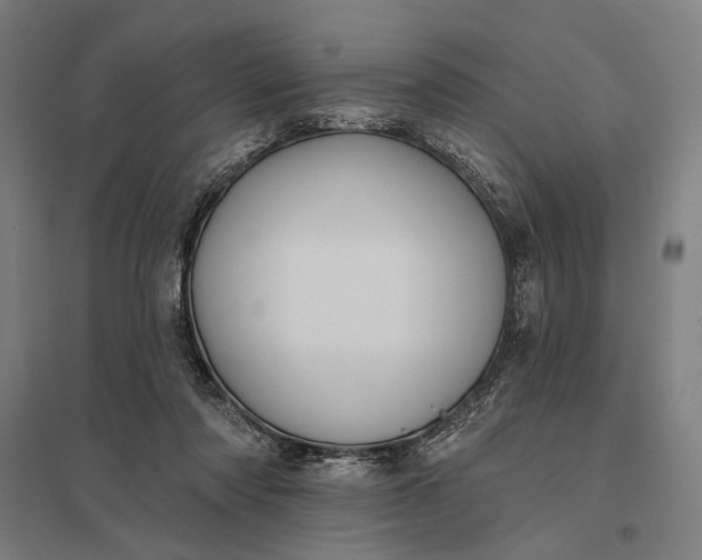 X0000097910310200803281409