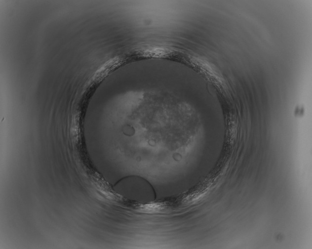 X0000097910312200803281409