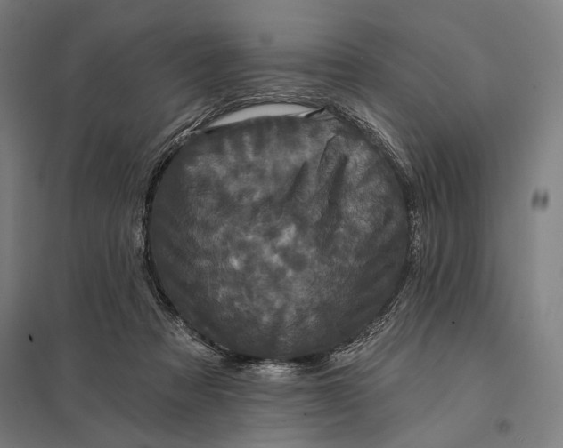 X0000097910313200803281409