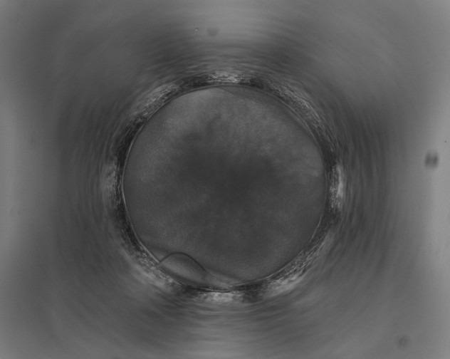 X0000097910314200803281409