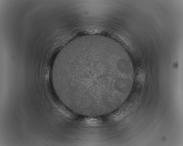 X0000097910315200803281409