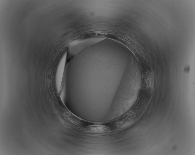 X0000097910316200803281409