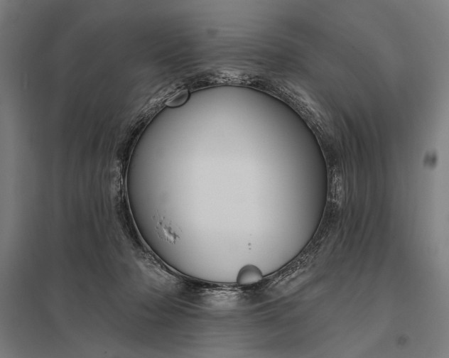 X0000097910318200803281409