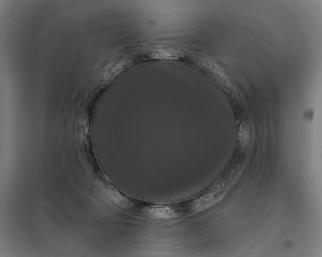 X0000097910322200803281409