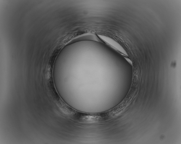 X0000097910323200803281409